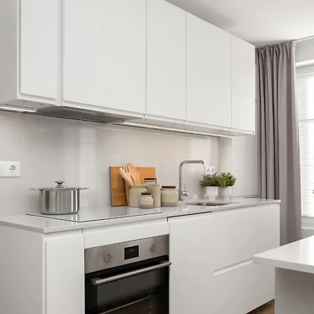 Toompea 2 Bedroom 公寓 塔林